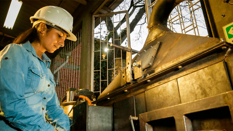 EN BIO-RETO XXI 15:50 SE DISEÑA UN SISTEMA DE REACCIÓN QUE AUMENTARÍA EL VALOR DE LOS ACEITES ESENCIALES