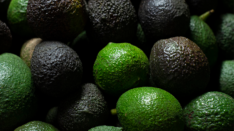 Cáscara del Hass, promisoria fuente de antioxidantes y neuroprotectores
