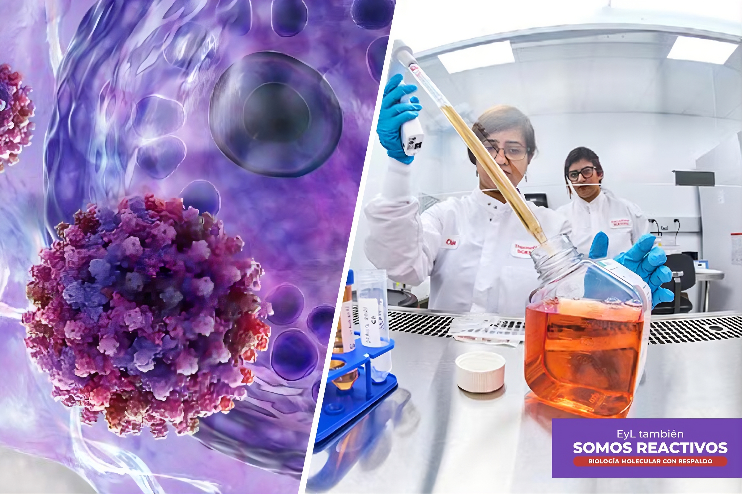 Reactivos que potencian tu ciencia: calidad, precisión y respaldo en cada etapa de tu investigación