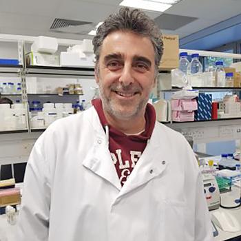 Descubierto un mecanismo de transferencia genética de las superbacterias para crear resistencia a los antibióticos