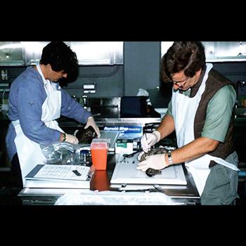 El Ministerio de Ciencia, a un debate de ser realidad