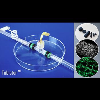 Un órgano completo en un microchip