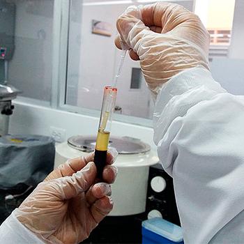 Protocolo de pruebas reduciría experimentación en animales