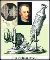 HISTORIA DEL MICROSCOPIO