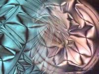 MICROSCOPIA