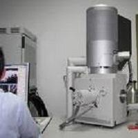 QUE ES Y COMO FUNCIONA EL MICROSCOPIO ELECTRONICO DE BARRIDO