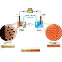 ELECTRODOS DE ION SELECTIVO