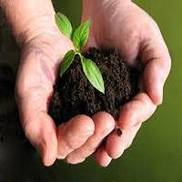 SANEAMIENTO ECOLOGICO