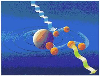 Microscopio de fluorescencia