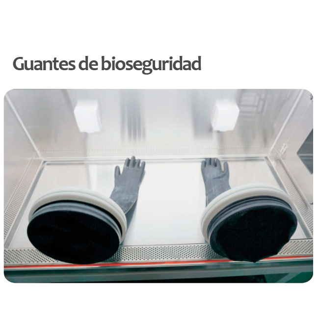 CABINA DE SEGURIDAD BIOLÓGICA CLASE III