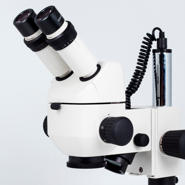 ESTÉREO MICROSCOPIO - MOTIC - K-500L