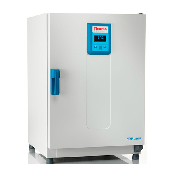 HERATHERM PROTOCOLO GENERAL INCUBADORA MICROBIOLÓGICA 196 LITROS - THERMO SCIENTIFIC - 51028065