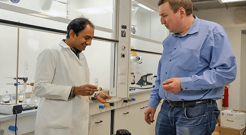 Películas comestibles para envolver alimentos