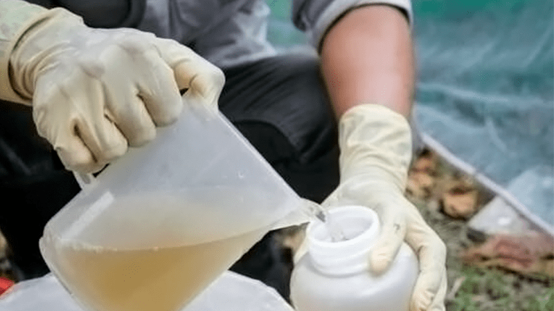 Un nuevo método mejora la detección de parásitos microscópicos dañinos en el agua